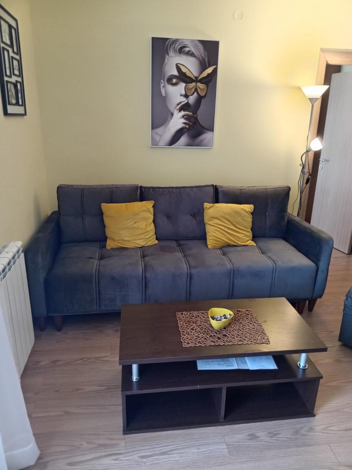 Sunny Days Apartman Копаоник Екстер'єр фото